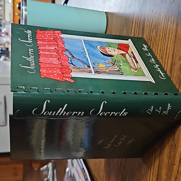 SOUTHERN SECRETS Recipes Cookbook compiled by Elsie Lee Briggs-2004-EC - Picture 5 of 5